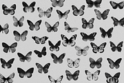 Halftone Butterfly Clipart, an Object Graphic by JulsIst (Thumbnail 4 of 7)