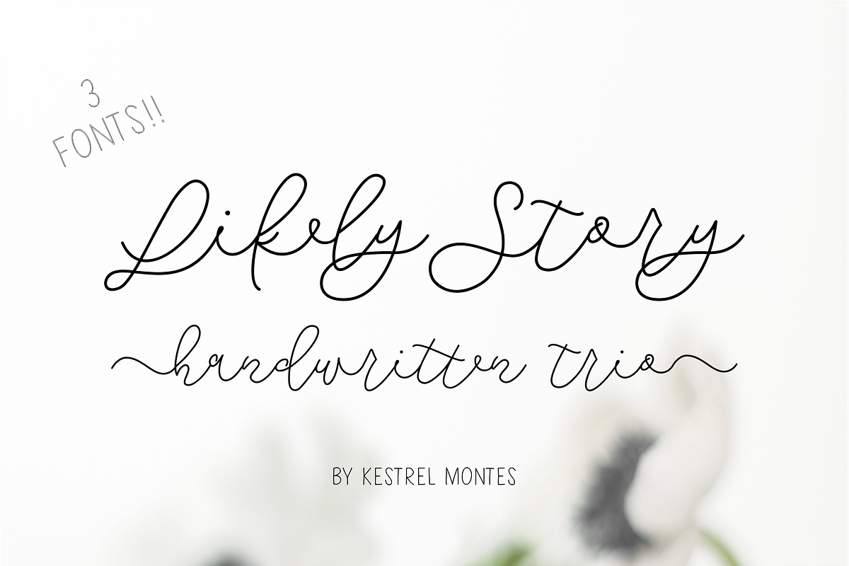 Likely Story Font Trio