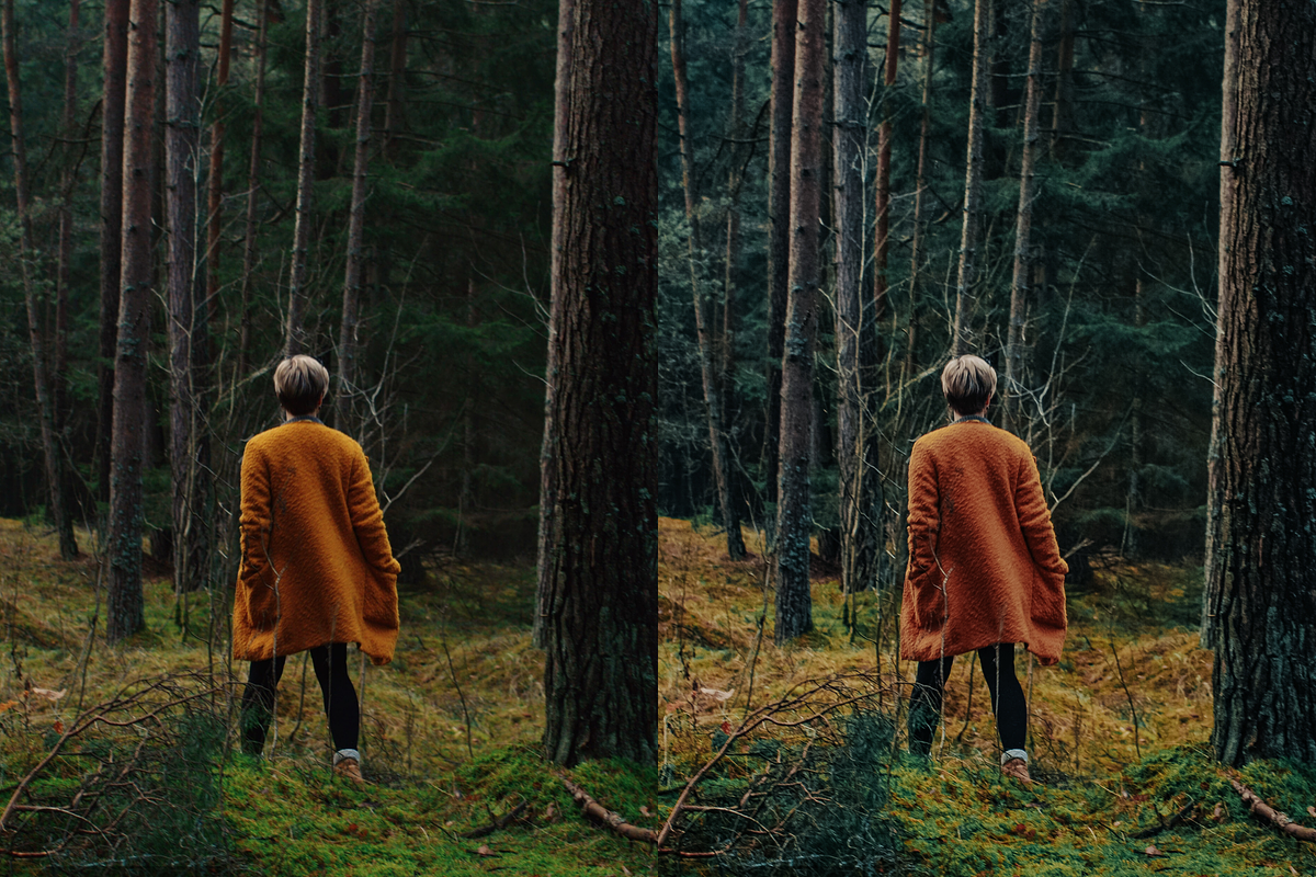 10 Forest Lightroom Presets, a Preset Add-On by RamsaGraphi (Photo 4 of 10)