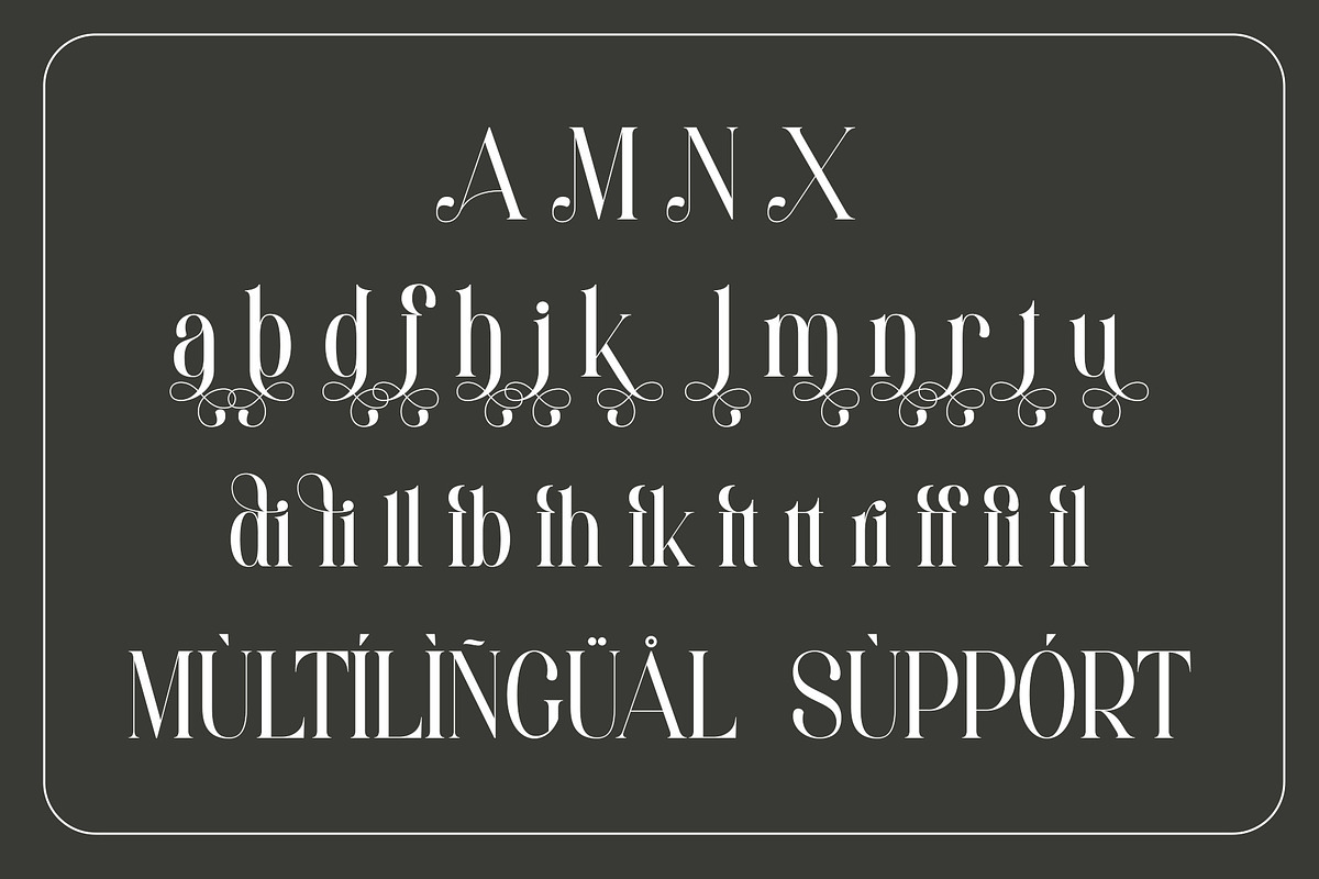 Amelia - Modern Serif Font, a Serif Font by Aqeel_Art (Photo 11 of 12)
