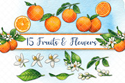 Mediterranean orange set, a Decorative Illustration by angychan (Thumbnail 2 of 6)