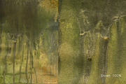 Urban Inked Backgrounds 2, a Texture Graphic by TheUrbanLine (Thumbnail 5 of 8)