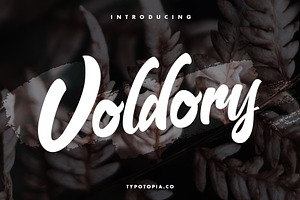 Voldory Modern Script Font