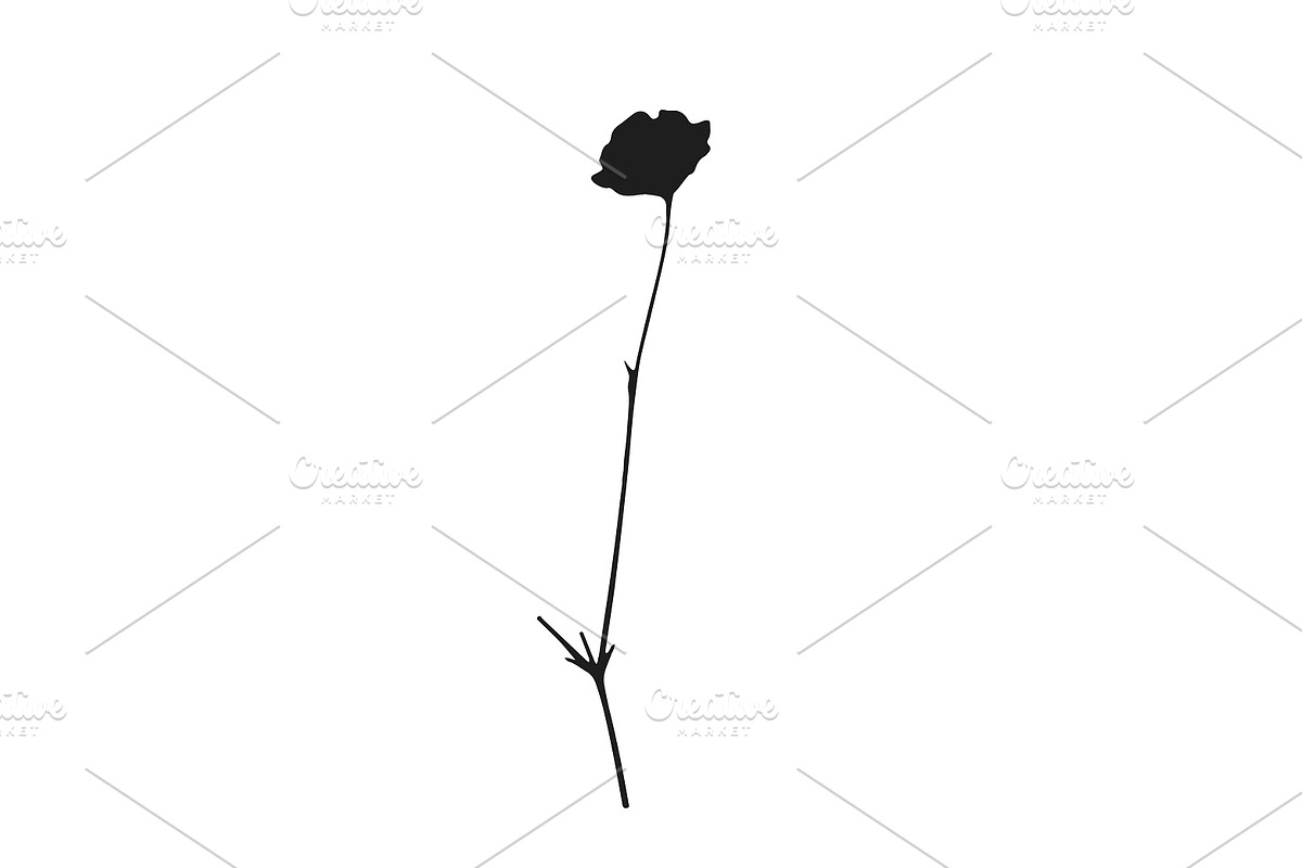 Botanical bundle - svg, png, a Decorative Illustration by Watercolor_Vector Graphic (Photo 14 of 26)