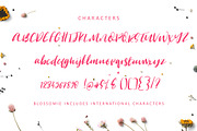 Blossomie Script Font, a Script Font by Creativeqube Design (Thumbnail 5 of 5)