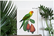 SPRING FLOWERS AND BIRDS PATTERN, a Pattern Graphic by gmzgns (Thumbnail 3 of 8)