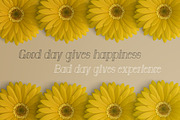 Anatta Display Serif Typeface, a Serif Font by PARAMAJAN (Thumbnail 5 of 11)