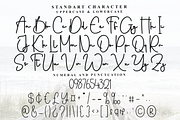 Spring Breaks, a Handwritten Font by InermediaSTUDIO (Thumbnail 4 of 8)