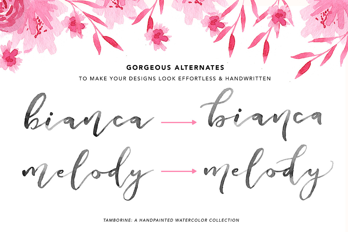 Tamborine SVG + Solid Font preview 6