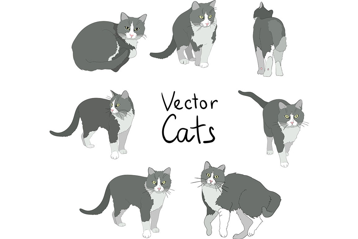 Cats poses set, an Animal Illustration by My art shop (Photo 1 of 3)
