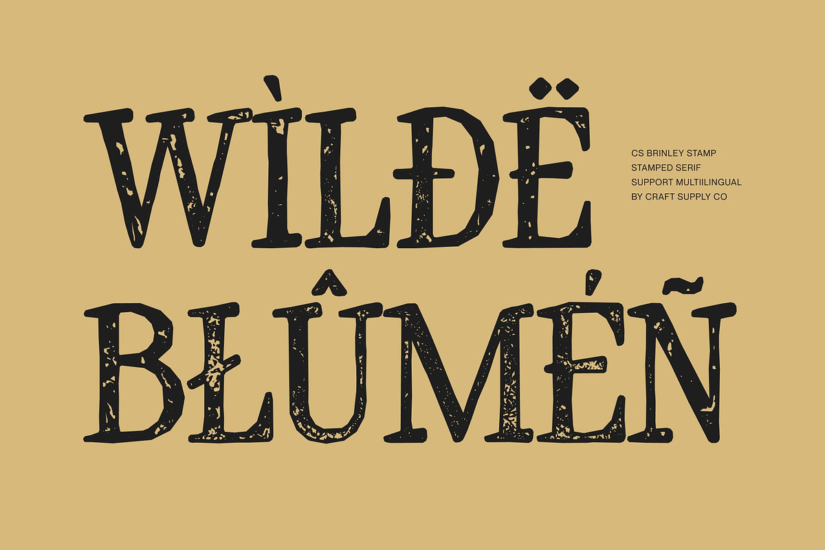 CS Brinley Stamp, a Serif Font by Craft Supply Co. (Photo 7 of 8)