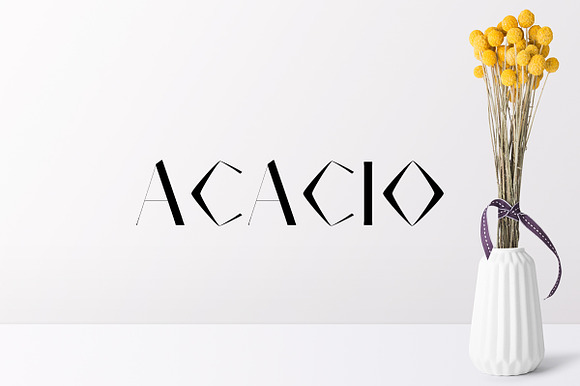 Acacio Serif Font Family Pack preview 8