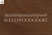 Alpas - soft serif typeface, a Serif Font by Only Fonts (Thumbnail 10 of 11)