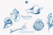 seashell clipart ocean sketch set, a Decorative Illustration by Patishop Art (Thumbnail 4 of 9)