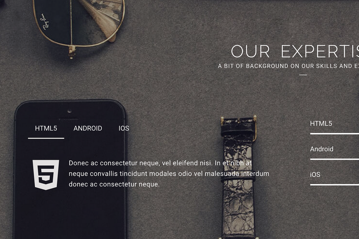 Reign Pro - Corporate Agency, a Bootstrap Template by Theme Wagon (Photo 4 of 13)