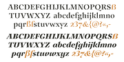 Auxerre, a Serif Font by ingoFonts (Thumbnail 4 of 8)