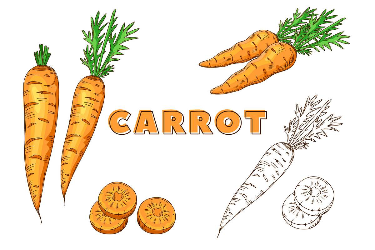 Vegetables in the Vintage Style, a Healthcare Illustration by Alfazet Chronicles (Photo 13 of 15)