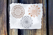 Flower Mandala set, a Decorative Illustration by JaneLane (Thumbnail 4 of 5)