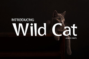 Wild Cat