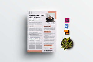 Nonprofit Organization Fact Sheet, a Flyer Template by design_hut