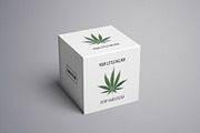Botanical hand drawing - sativa leaf, a Healthcare Illustration by separisa (Thumbnail 6 of 6)