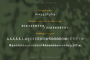 Absolute Borsalino - Serif Font, a Serif Font by Luxima (Thumbnail 8 of 15)