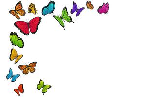 Colourful butterflies flying, an Animal Illustration by Yayasya