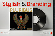 Pluribus - Serif font family, a Serif Font by Artistic & Unique (Thumbnail 13 of 15)