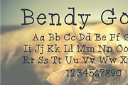 Bendy Goose, a Serif Font by Treich Design (Thumbnail 1 of 4)