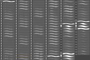 Portrait Brushes for Photoshop, a Brush Add-On by FaeryDesign (Thumbnail 3 of 3)