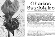 TT Alientz, a Serif Font by TypeType (Thumbnail 4 of 15)