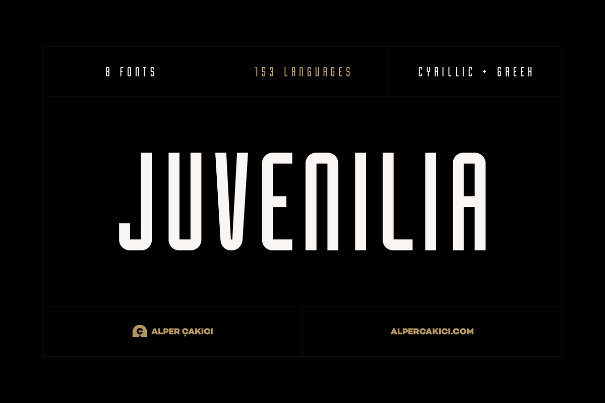 Juvenilia - Geometric Font Family, a Sans Serif Font by alpercakici (Photo 18 of 18)