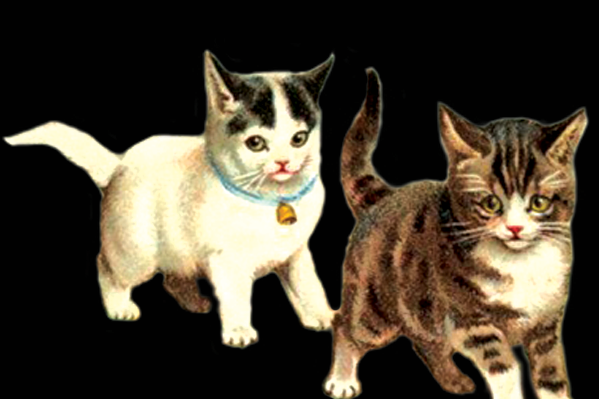 Vintage Kittens Painting, an Illustration by Professional Assets (Photo 2 of 2)