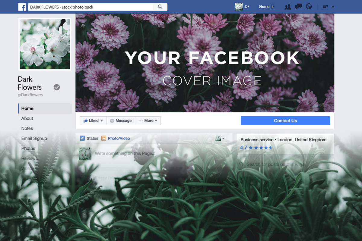 Dark Flowers - Stock Photos, a Nature Photo by outlinez (Photo 4 of 8)