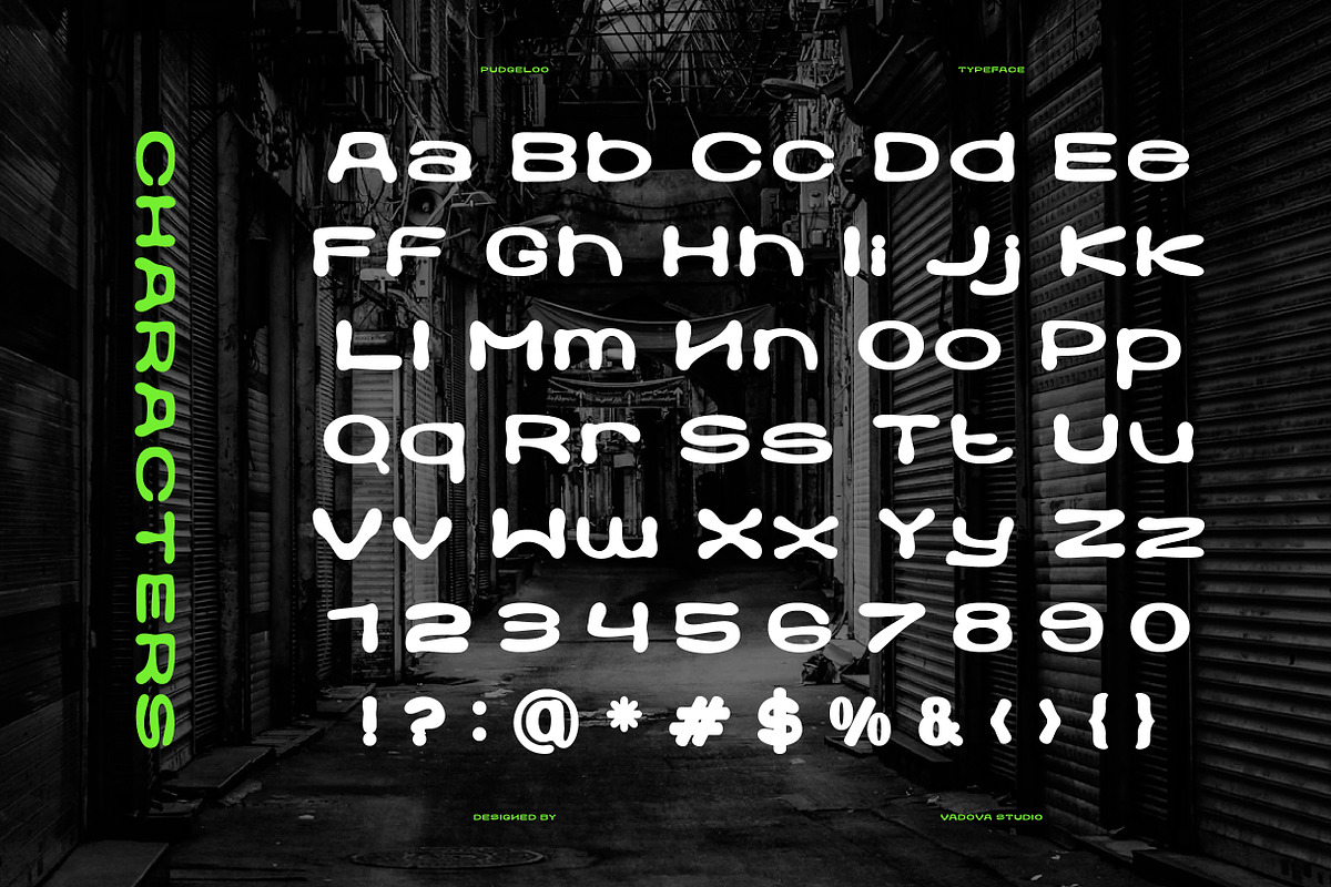 Pudgeeloo Creative Typeface Font, a Serif Font by Vadovastd (Photo 2 of 7)