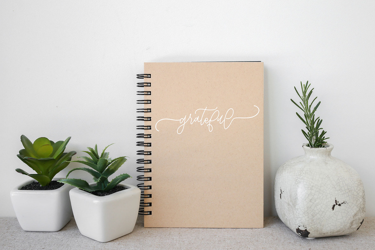 Notebook Script preview 8