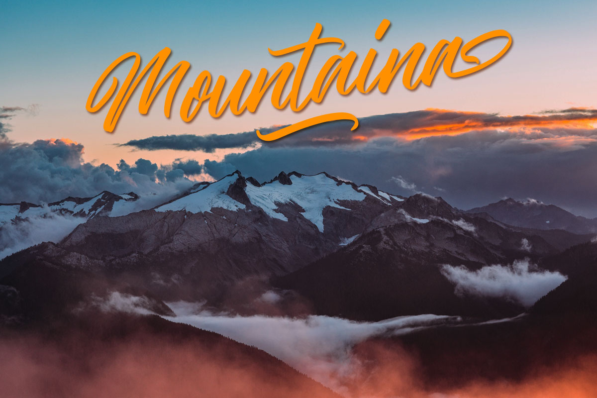 The Hamburg Script Font preview 8