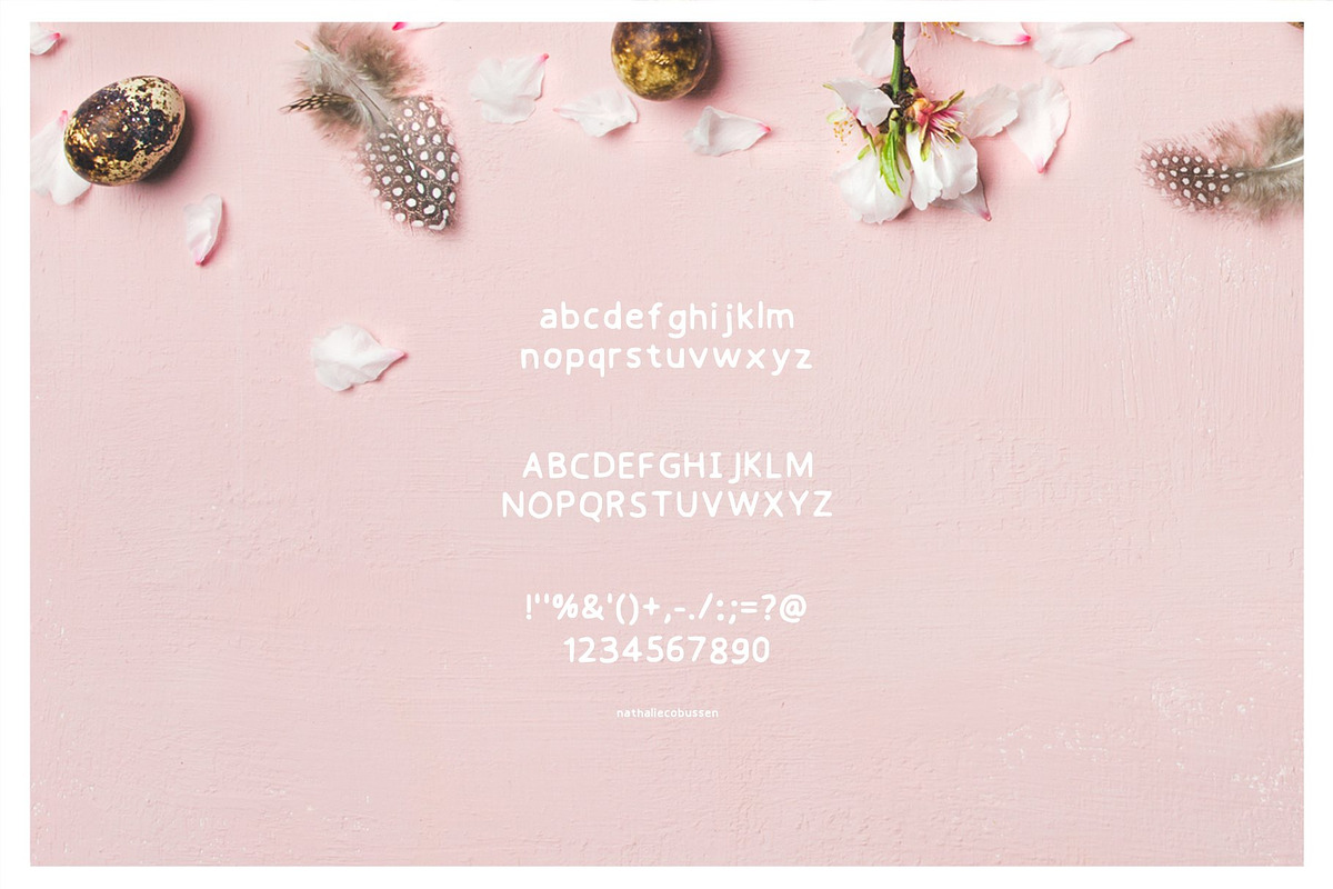 Little Bird a Handwritten Font preview 2