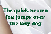 Daglin, a Serif Font by zaaintype (Thumbnail 9 of 10)