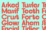 FlyBridge - Bold Ligature Rich Sans, a Sans Serif Font by SilverStag Type Foundry (Thumbnail 7 of 30)