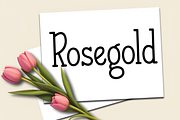 Spring Farmhouse, a Sans Serif Font by FreshTypeINK (Thumbnail 3 of 8)
