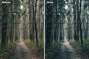 Hollywood LUTs pack, a Plug-in Add-On by Maple Visuals (Thumbnail 3 of 8)