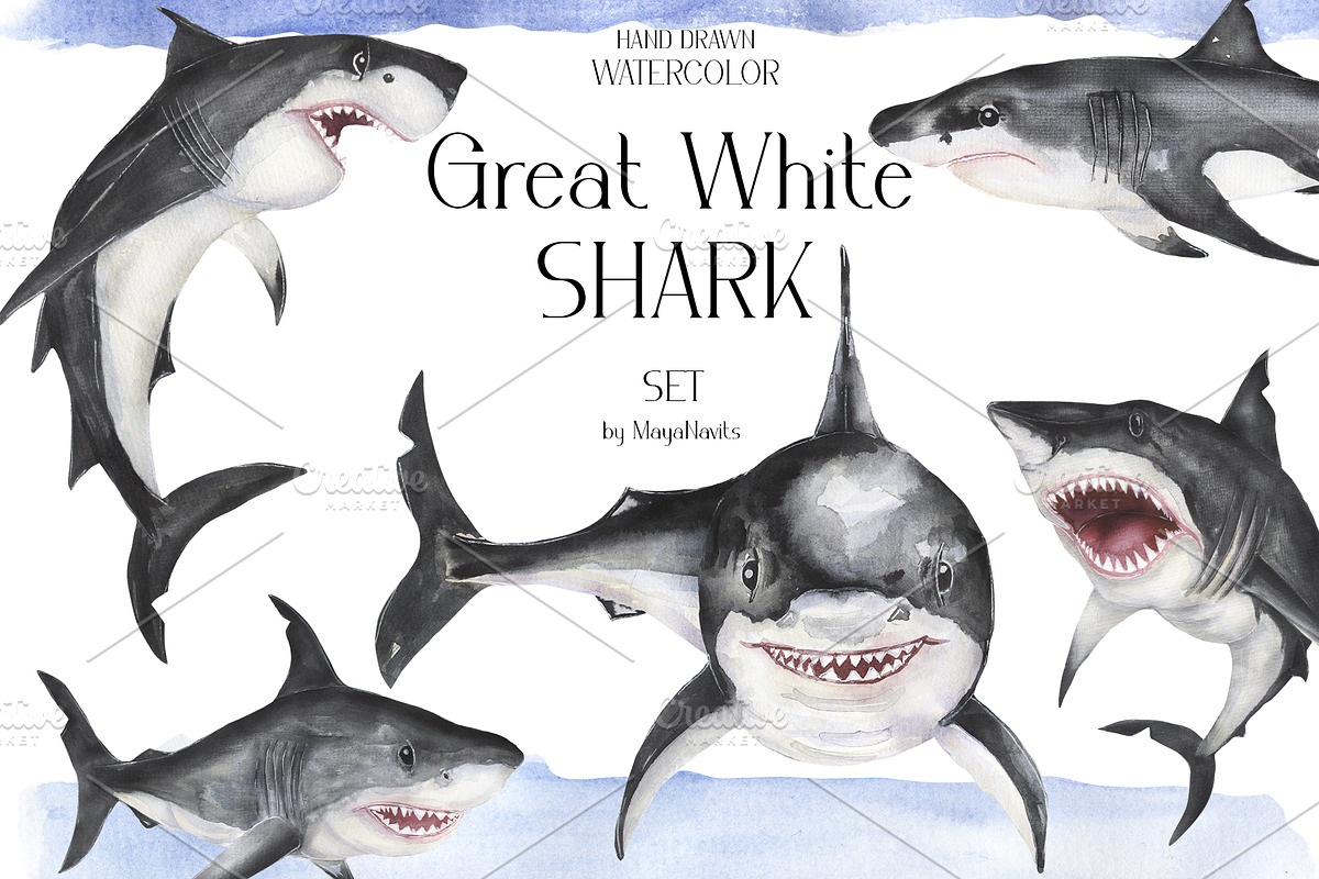 Watercolor Great White Sharks Set, an Animal Illustration by MayaNavits (Photo 1 of 7)
