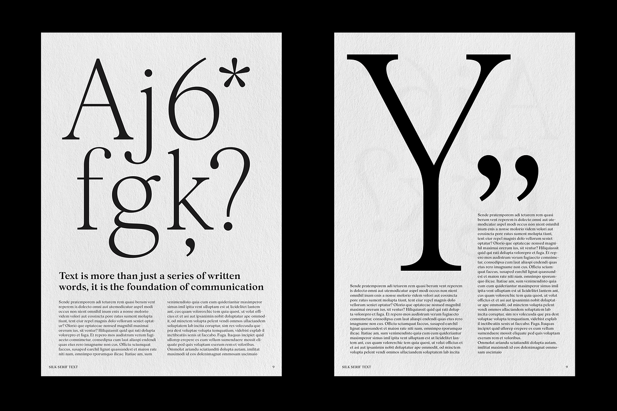 Silk Serif Text - 6 font family, a Serif Font by Silktype (Photo 2 of 12)