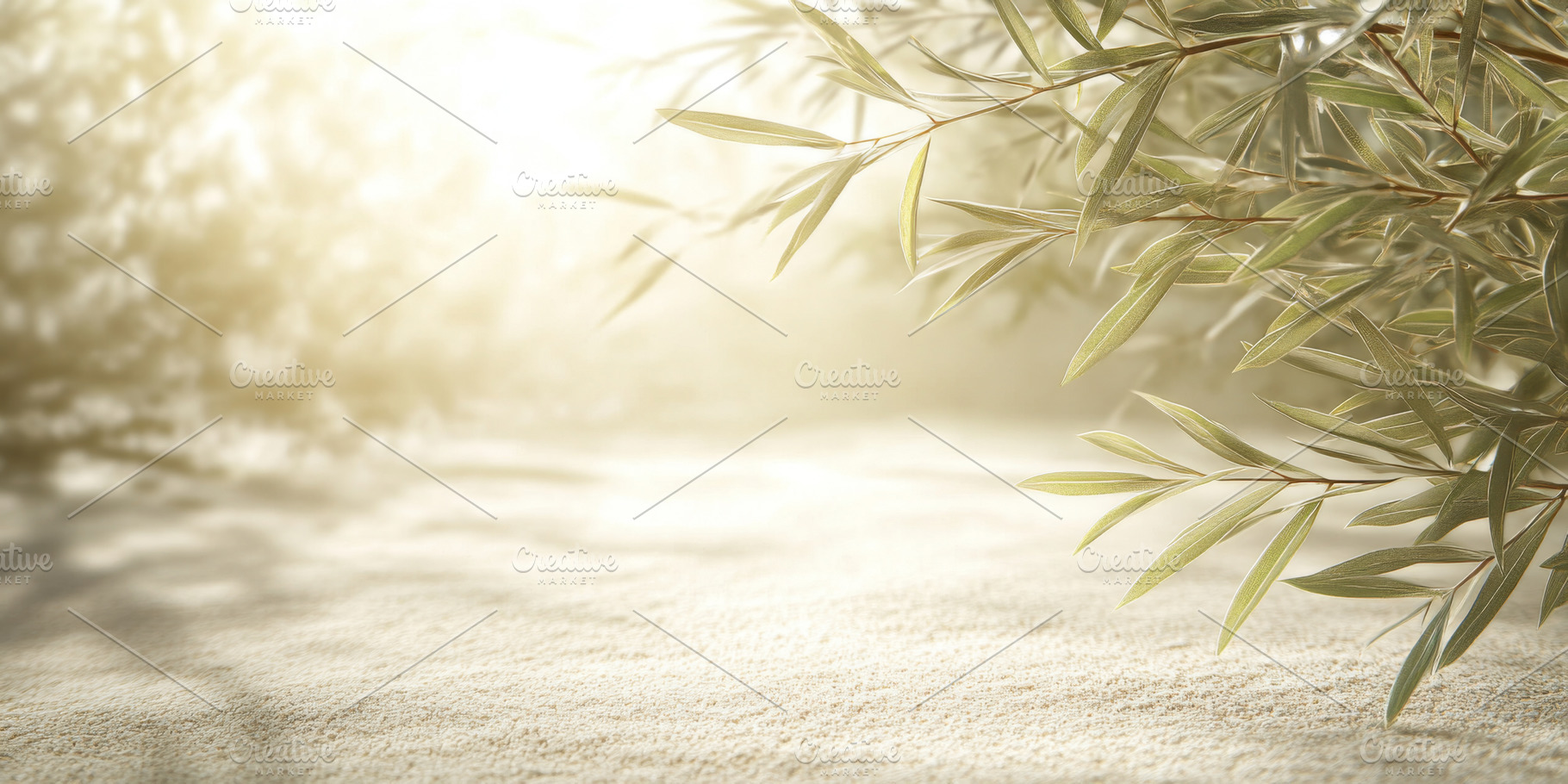 Olive tree branches over soft sand with sunlight and shadows, na, a Photo by Dvoevnore photos