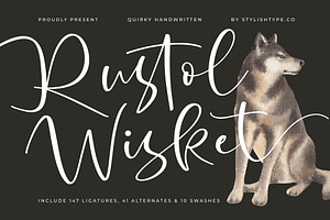 Rustol Wisket Quirky Handwritten