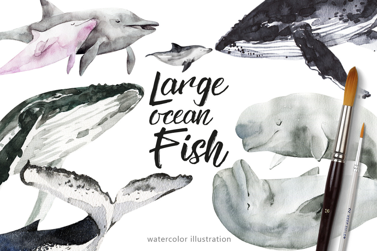 Large ocean Fish, an Animal Illustration by KatBranchArt (Photo 1 of 4)