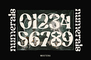Mostera, a Serif Font by Megatype (Thumbnail 14 of 15)