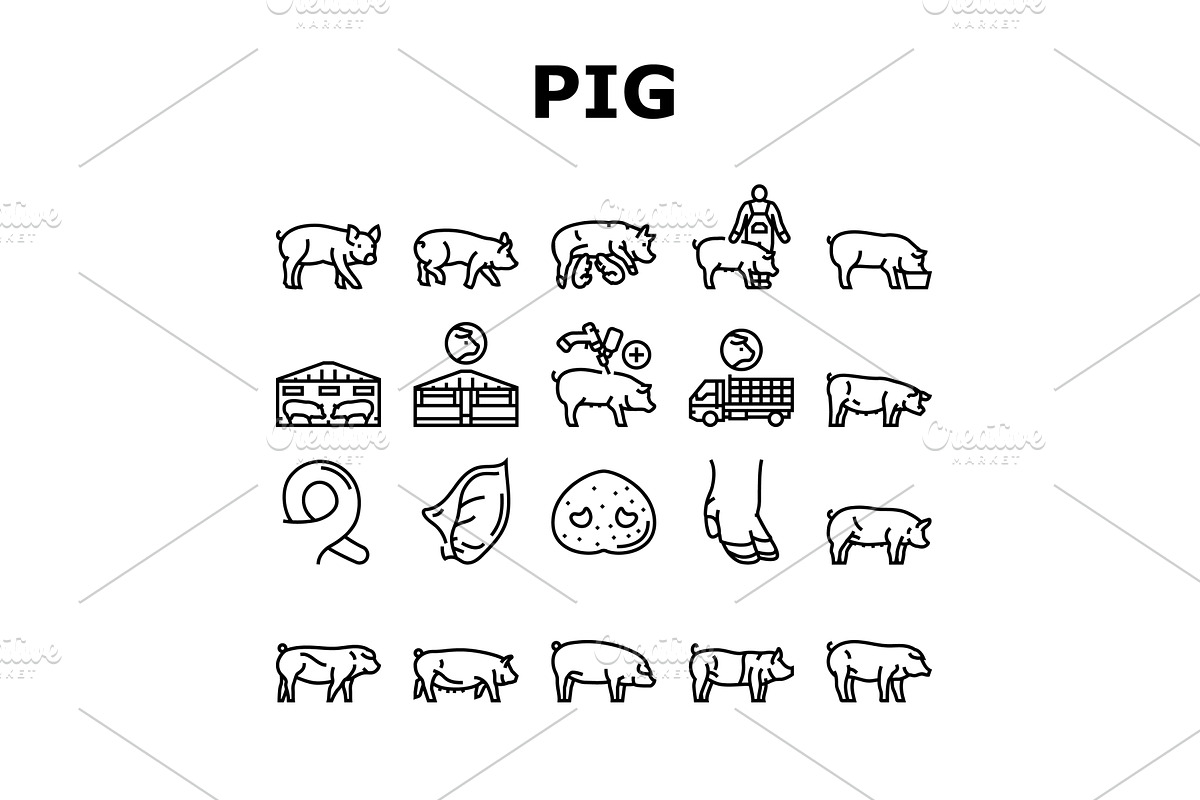 pork pig farm animal piglet hog, an Animal Illustration by pikepicture