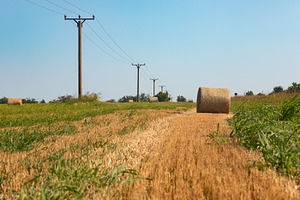 Golden hay bale on harvested field with power lines under blue sky. Tranquil ru, a Nature Photo by Ales Munt